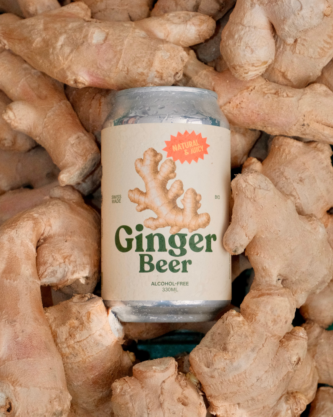 Ginger Beer BIO