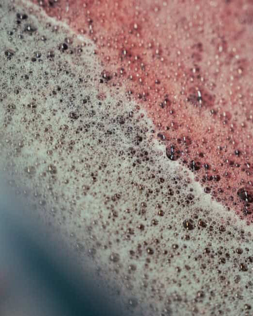 Gin Bucha