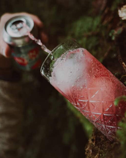 Gin Bucha