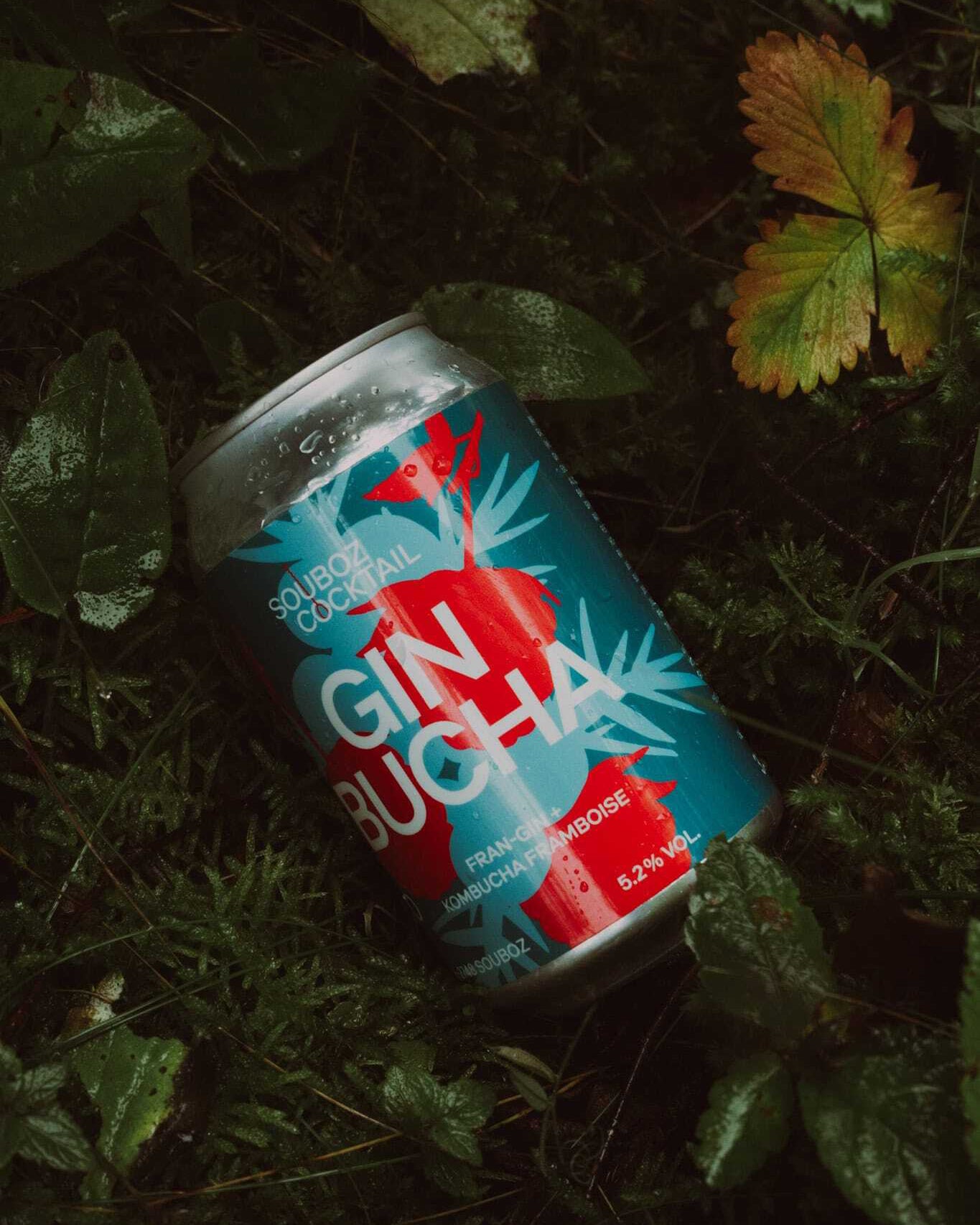 Gin Bucha