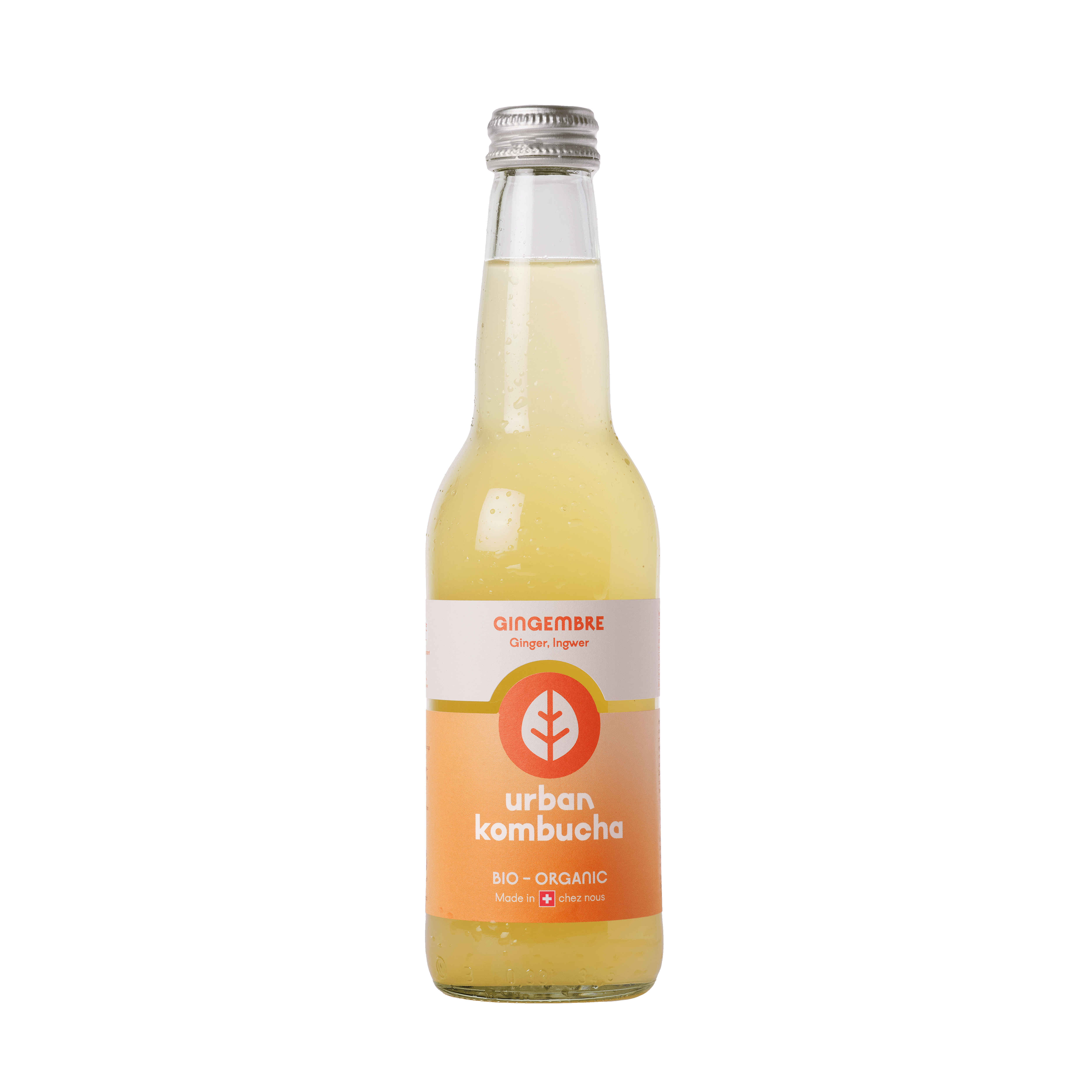 Kombucha Gingembre