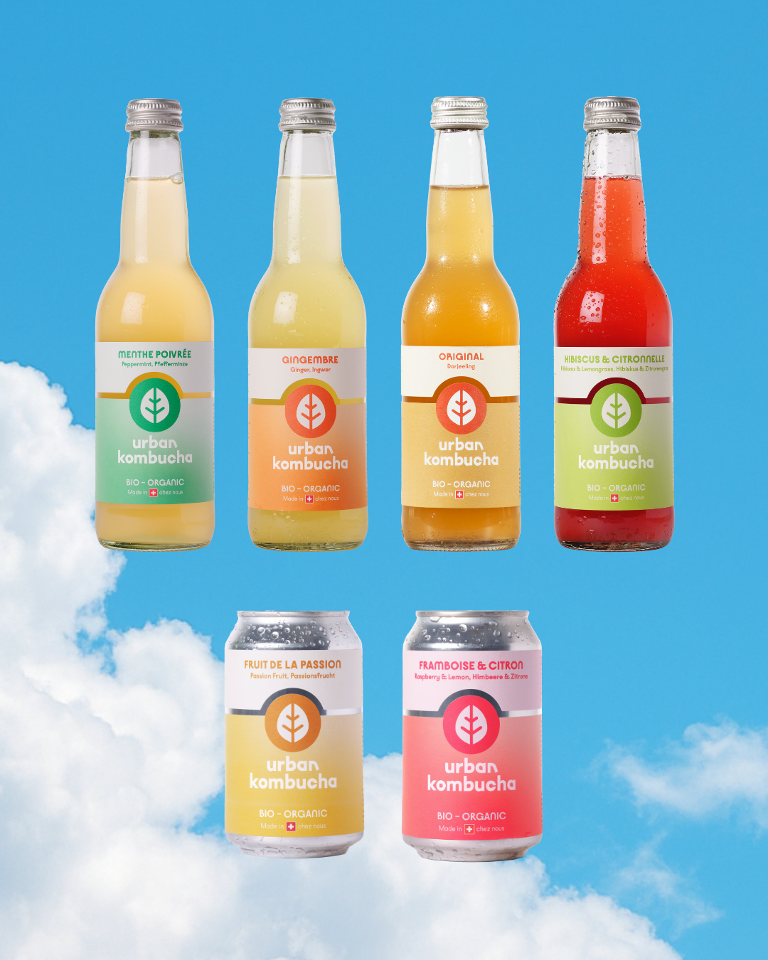 Probierbox Kombucha