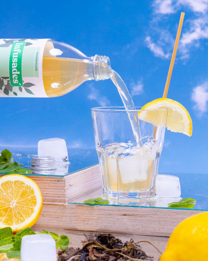 Weißer Tee & Schweizer Alpenminze Infusion BIO