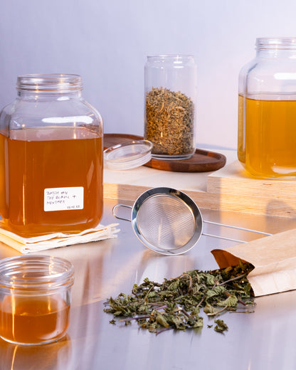 Weißer Tee & Schweizer Alpenminze Infusion BIO